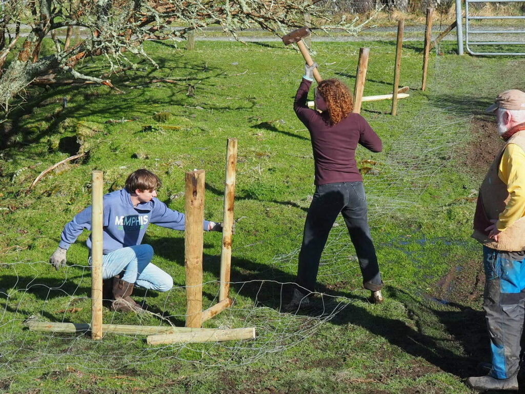 wwoofing in ireland - learning fencing